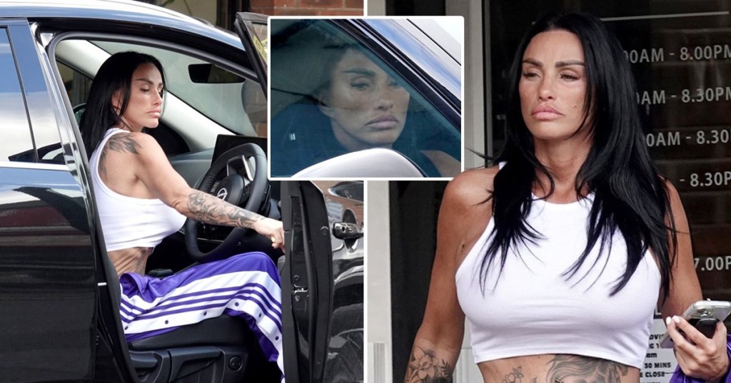 Picture of Katie Price getting into a car in purple pants, picture of katie behind tinted window in car and picture of katie on street in white crop top