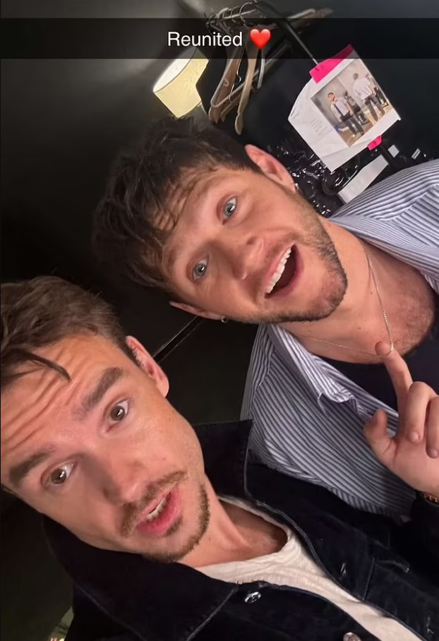 Liam Payne posts a selfie with One Direction bandmate Niall Horan on his Snapchat